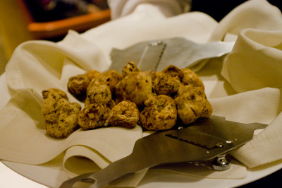 Tartufo di Muzzana